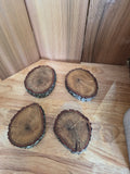 Southern Live Oak Wood Cookies – Natural Craft Slices 4 pack