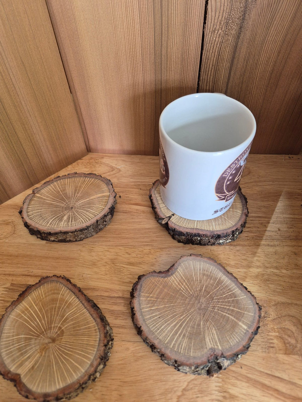 Southern Live Oak Wood Cookies Dried and Stabilized (Coaster Size) 4 Pack